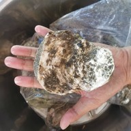 เอกตำ ยำระเบิด ไม่มีสาขา