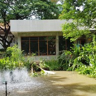 ฟองกาแฟ