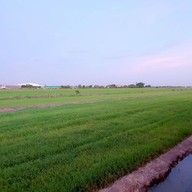 เรือนริมนา