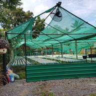 ฟองกาแฟ