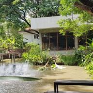 ฟองกาแฟ