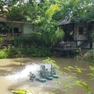 ฟองกาแฟ