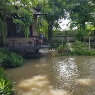 ฟองกาแฟ