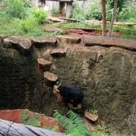 สวนสัตว์นครราชสีมา