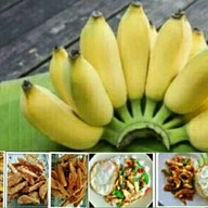 ราชาของทอด&FOOD