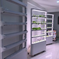 LED FARM เจริญกรุง