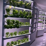 LED FARM เจริญกรุง