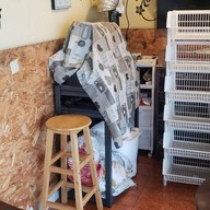 บรรยากาศ กาแฟสดดอยช้างหอมฮิ