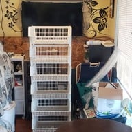 บรรยากาศ กาแฟสดดอยช้างหอมฮิ