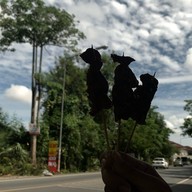 น้ำสมุนไพร หอม หวาน สดชื่น