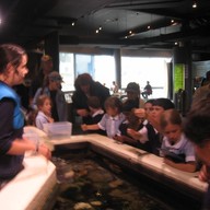 Sea Life Melbourne Aquarium