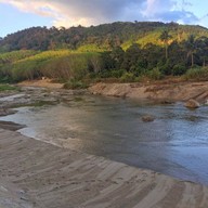 บ้านสวนคุณลองกอง