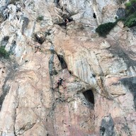 บ้านสวนคุณลองกอง