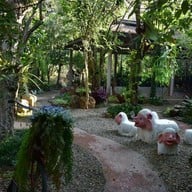 หมอกหลวง mokluang