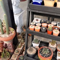 บรรยากาศ กันเอง @บางพลี