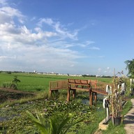 ดริปริมนา