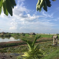 ดริปริมนา