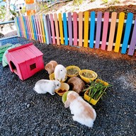 บรรยากาศ สวนเดอลอง (Delong Garden)