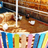 บรรยากาศ สวนเดอลอง (Delong Garden)