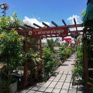 ตา-ยาย ชมทุ่ง