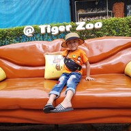 บรรยากาศ สวนเสือศรีราชา