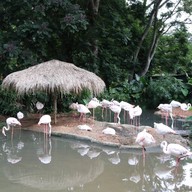 สวนสัตว์นครราชสีมา