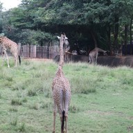 สวนสัตว์นครราชสีมา