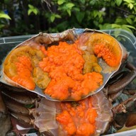 ปูนะจ๊ะ