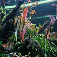 บรรยากาศ The Color Smile Dental Clinic ปทุมธานี