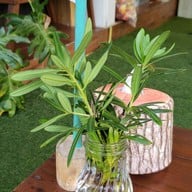 บรรยากาศ Happy Camper Rayong