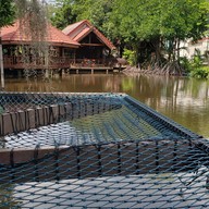 บรรยากาศ Happy Camper Rayong