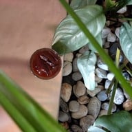 Youngfolk At Wonderwall  Hotel