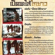 เป็ดพะโล้ โกยาว