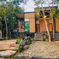 Licuala (ลิคูล่า)