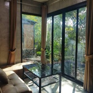 Licuala (ลิคูล่า)