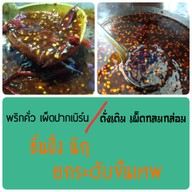 เมนูของร้าน ลูกชิ้นปิ้งกะทิลองยัง (หมูเน้นๆ น้ำจิ้มพริกคั่ว เด็ด,เผ็ด...ปากเบิร์น) ตลาดรถไฟศรีนครินทร์ โซนด้านหน้าพระพิฆเนศ