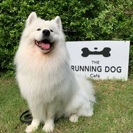 The Running Dog Café