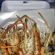 เมี่ยงปลาทูเพื่อสุขภาพ ซอยแจ้งวัฒนะ  14 By  น้ำฝน(เจ้าเก่าเจ้าเดิม)