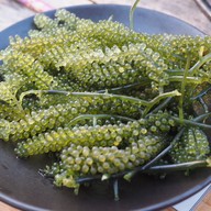 ชาบู ทาร์น TARN Shabu & Yakiniku Grill