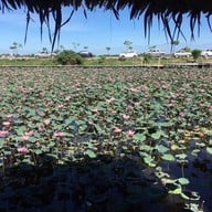 สุ่มปลายักษ์ วัดทองประดิษฐ์ จ.สุพรรณบุรี