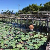 สุ่มปลายักษ์ วัดทองประดิษฐ์ จ.สุพรรณบุรี