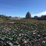 สุ่มปลายักษ์ วัดทองประดิษฐ์ จ.สุพรรณบุรี