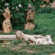 บรรยากาศ สวนสัตว์ขอนแก่น