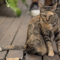 Ease Cafe&CoWorking Space