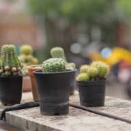 Ease Cafe&CoWorking Space