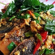 เมนูของร้าน Loco Elvis @The Moat Chiangmai