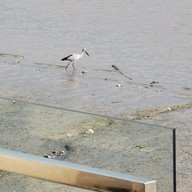 บรรยากาศ BuriTara Riverfest