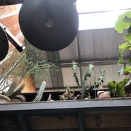 ชุมชนเก่าตลาดหัวตะเข้