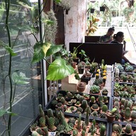 ชุมชนเก่าตลาดหัวตะเข้