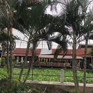 ชุมชนเก่าตลาดหัวตะเข้